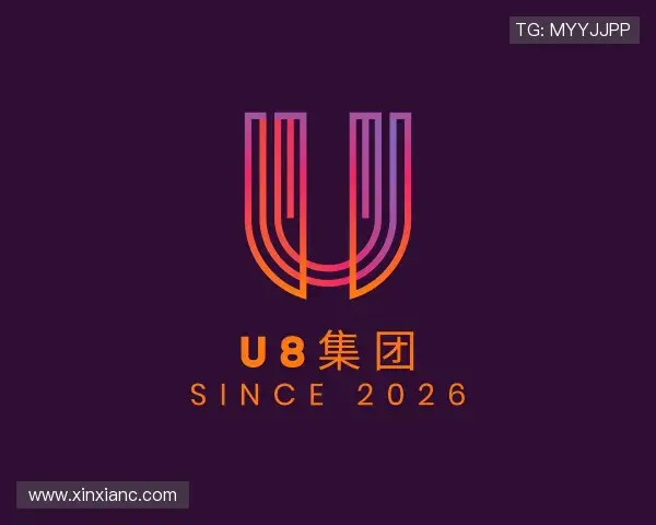 解读u8集团